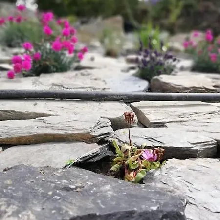 Vakantiehuis Muckruss An Oasis Of Tranquility *