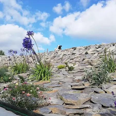 Muckruss An Oasis Of Tranquility *