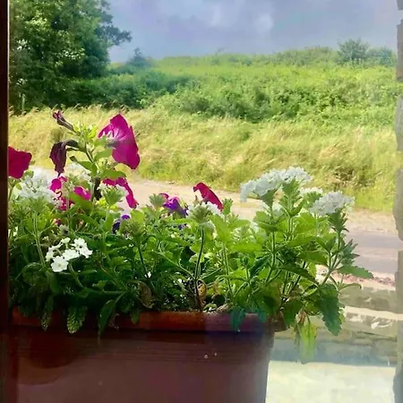 Muckruss An Oasis Of Tranquility