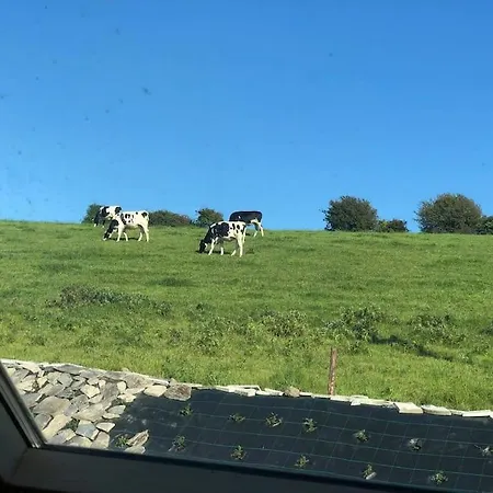 Muckruss An Oasis Of Tranquility