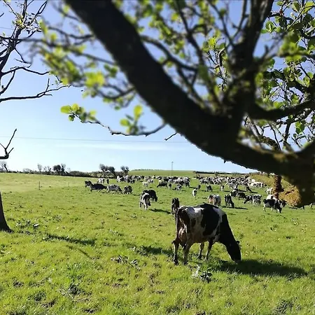 Vakantiehuis Muckruss An Oasis Of Tranquility