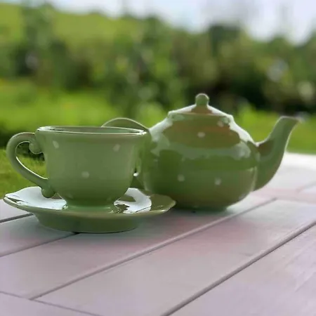 Muckruss An Oasis Of Tranquility *