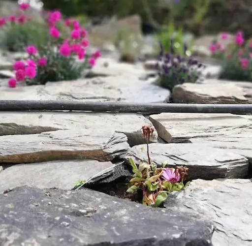 펜션 Muckruss An Oasis Of Tranquility *