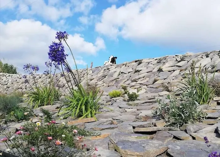 Muckruss An Oasis Of Tranquility *