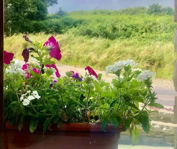 Muckruss An Oasis Of Tranquility