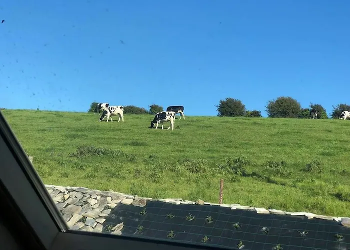 Muckruss An Oasis Of Tranquility