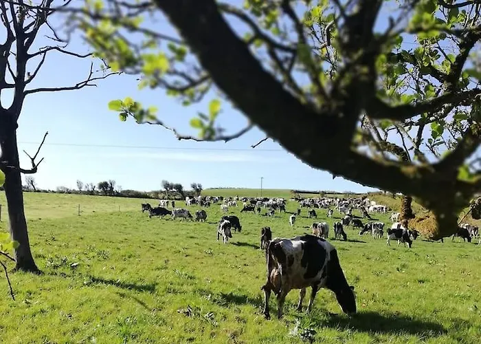 펜션 Muckruss An Oasis Of Tranquility